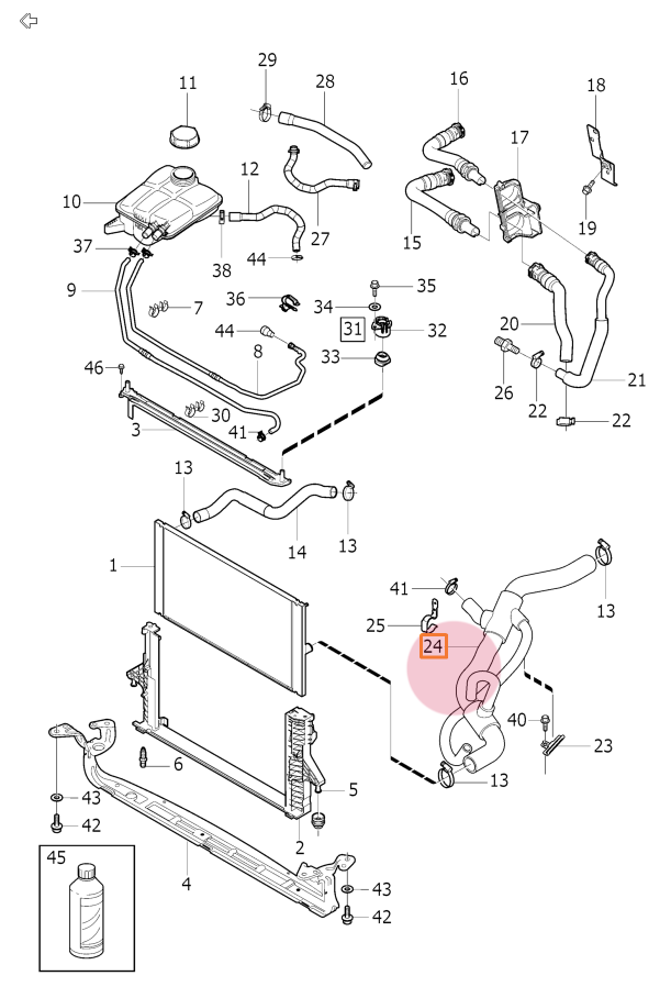 Шланг радиатора верхний Volvo C30, C70, S40 II, V50 \\ 5 цилиндров \\ VOLVO (Original) 30723082