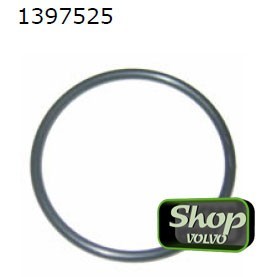 1397525.jpg